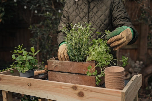 Cedar Planter Box