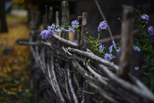 Classic Garden Trellis