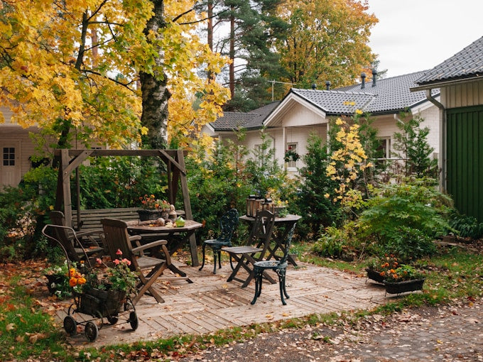 Backyard Kitchen Garden